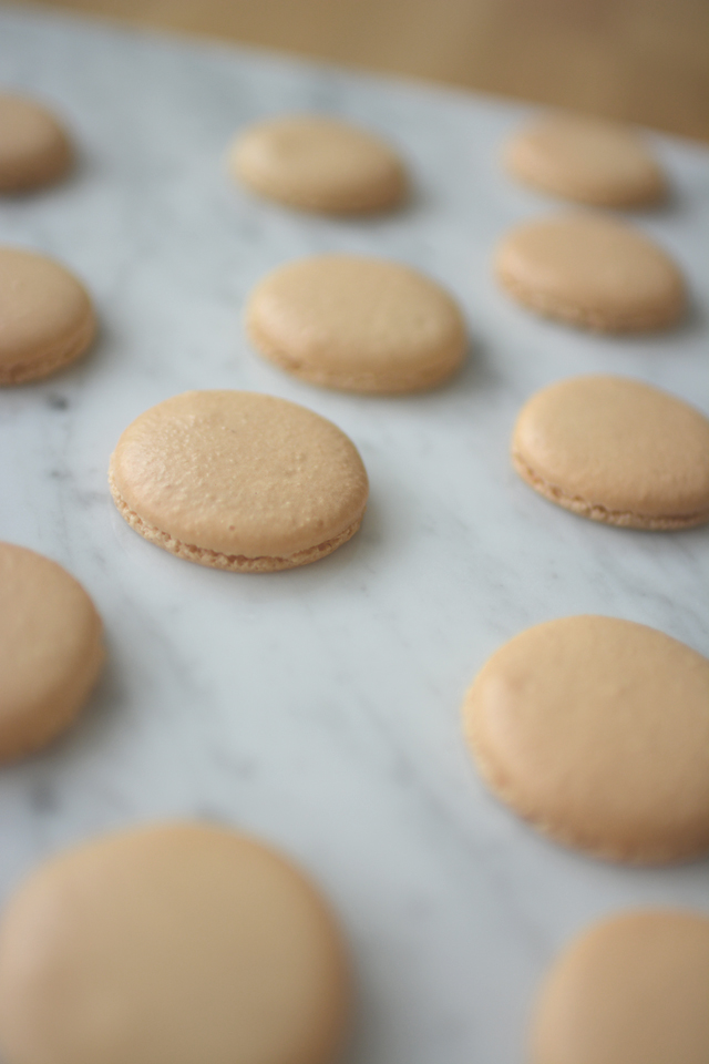 a close up image of a freshly baked french macarons