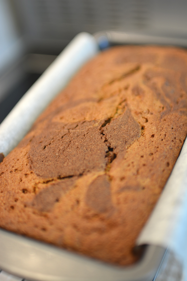 close up view image of a single loaf of a cooked chocolate and ginger cake