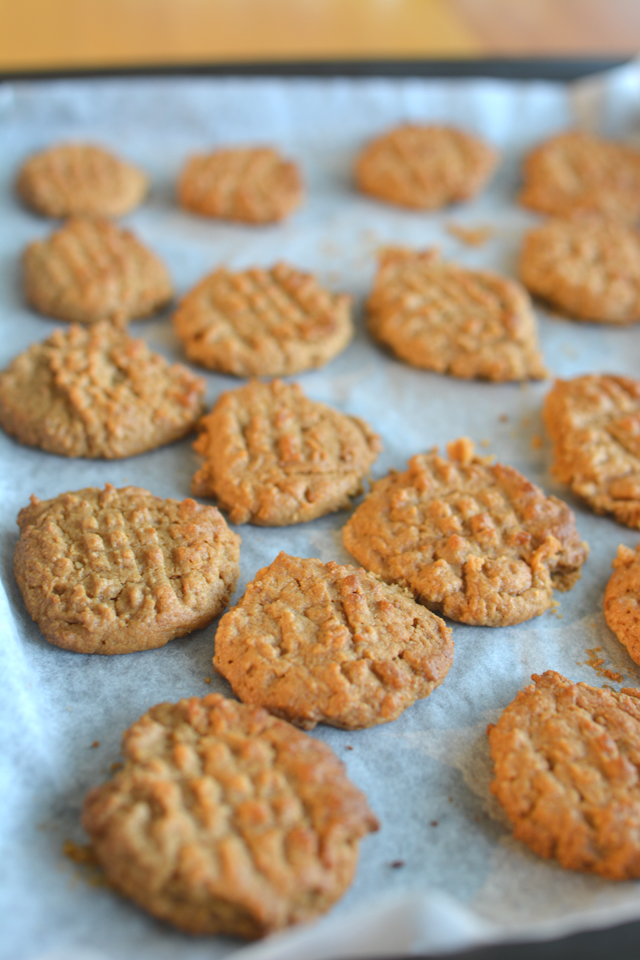 close-up image of a batch of freshly baked peanut butter, chocolate and pistachio cookies