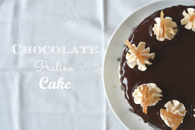 top view image of a chocolate praline cake, with only half of it pictured, drizzled with ganache and topped with buttercream and star-shaped piping