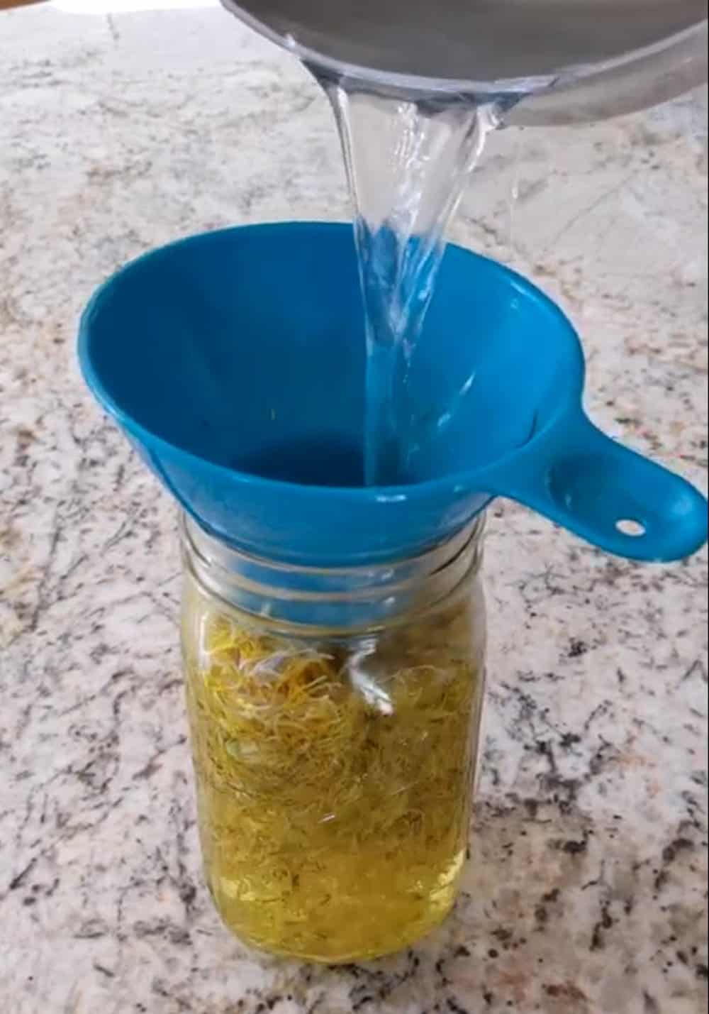 Pouring boiling water from a pot through a funnel and into a jar that's filled with dandelion flowers.