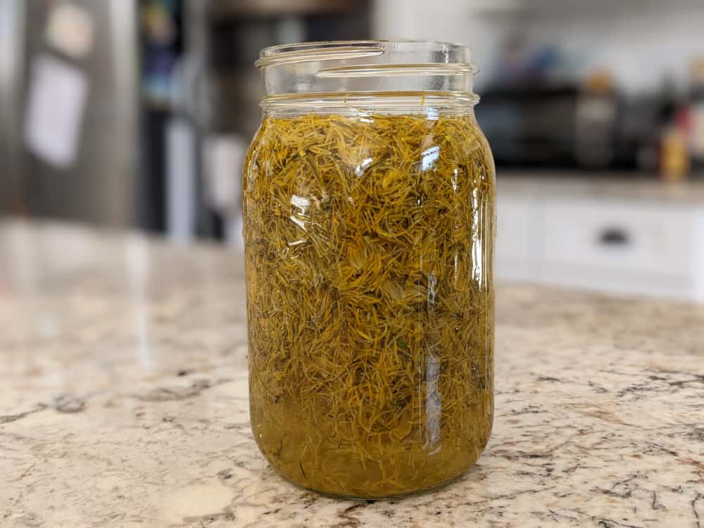 A jar filled with dandelion flowers and filled with boiling water steeping to make dandelion tea.