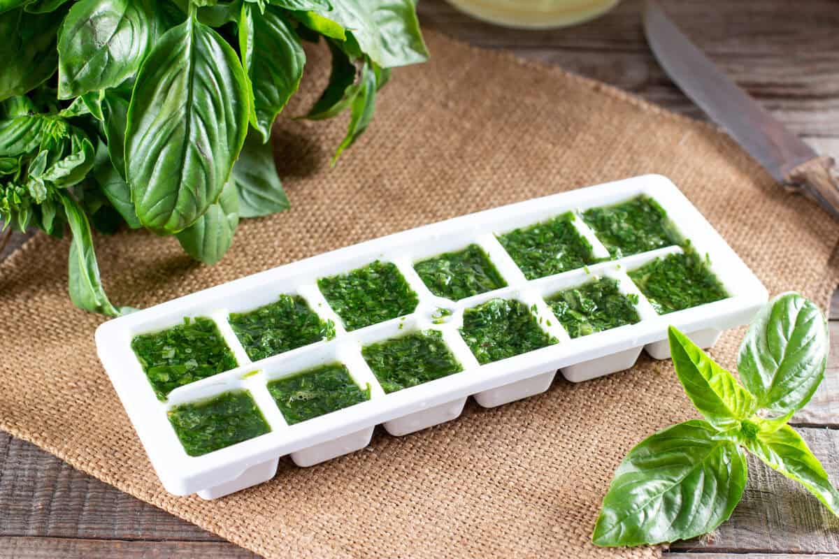 Frozen basil leaves (basilius) in an ice cube tray with fresh basil on a table.