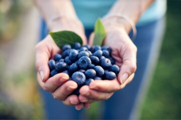 Fresh blueberries being held out in a woman's hands.