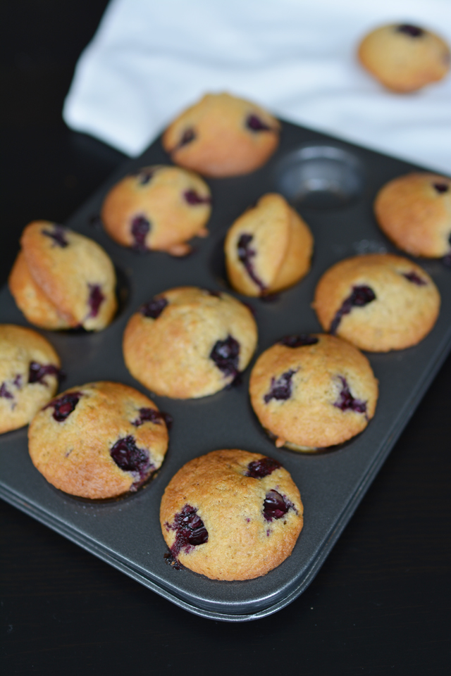 close-up view of a muffin tray filled with freshly baked brown butter blueberry mini muffins
