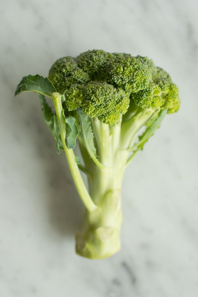 top view image of a single brocolli