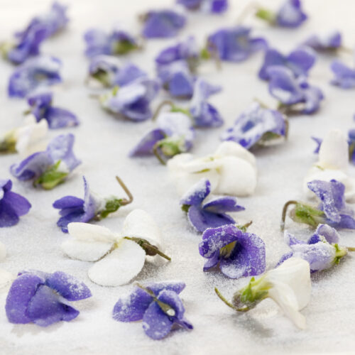 Candied Violets.