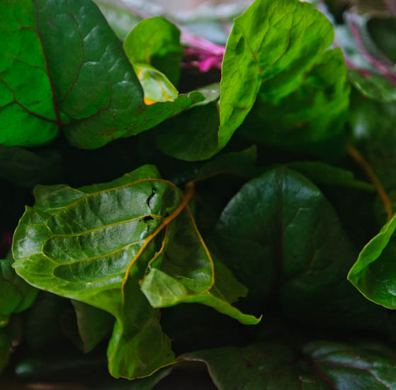 chard | healthy green kitchen