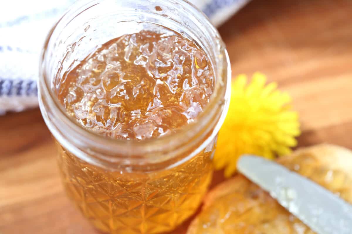 A close-up view of an open jar of dandelion jelly with a dandelion flower in the background.