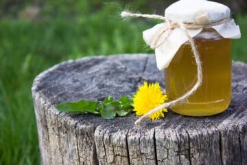 Dandelion jelly in a jar on a wooden stump with a dandelion flower.