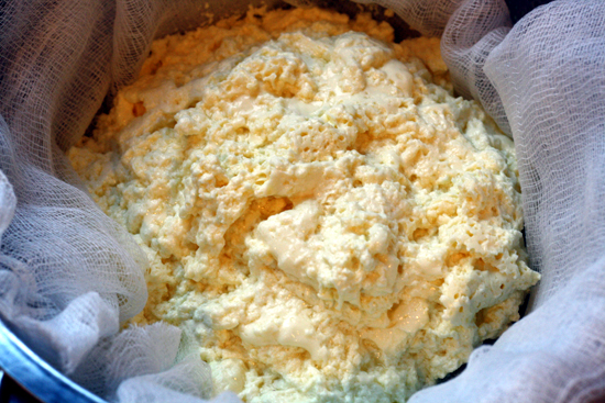 drainingricotta