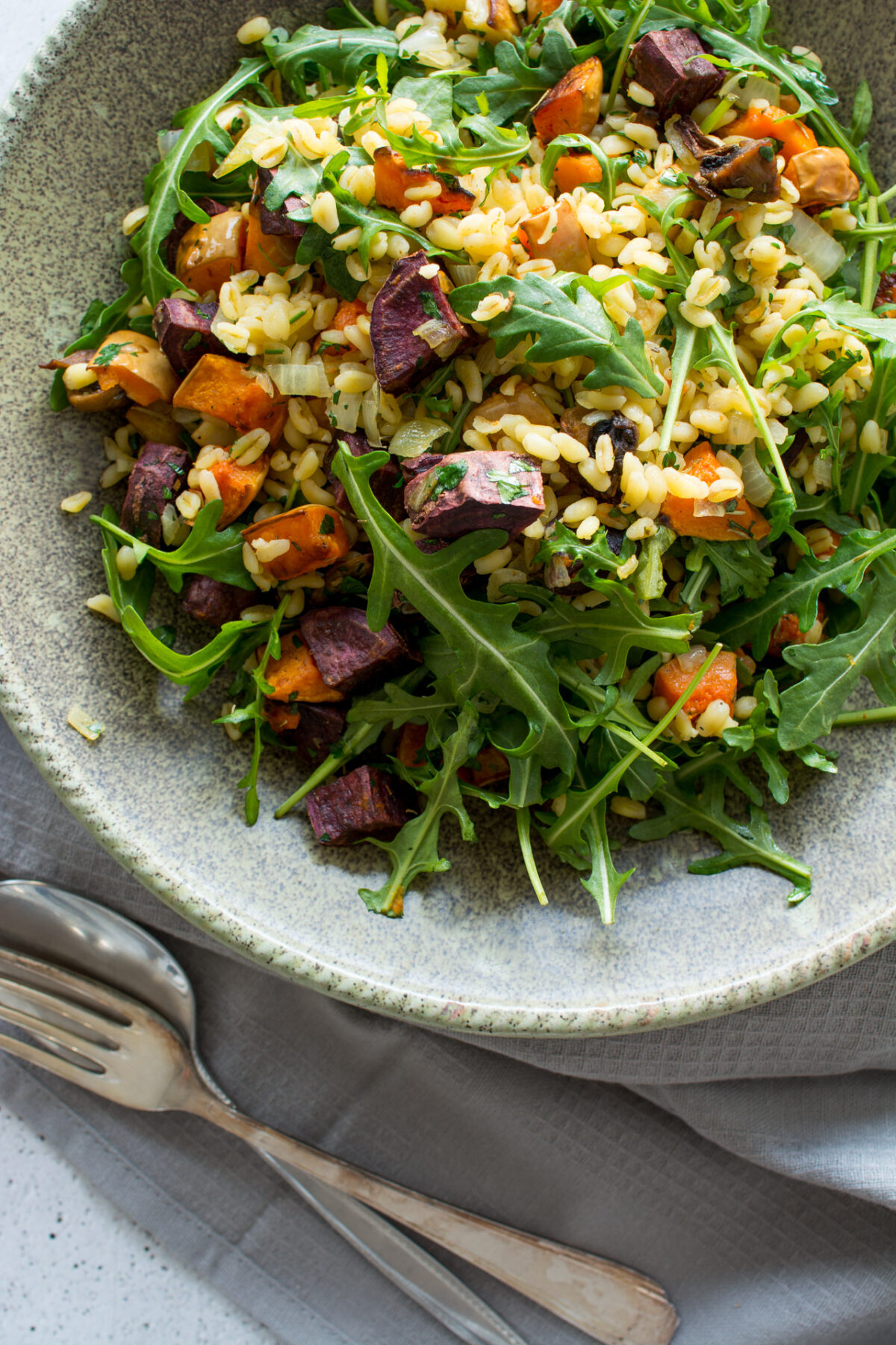 top view image of vegetable winter salad with wheat berries in a plate
