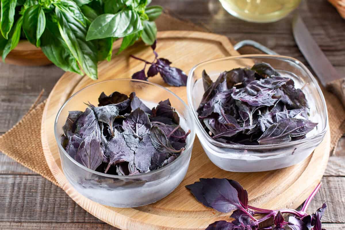 Frozen leaves of purple basil with fresh basil on a wooden table.