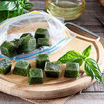 Frozen basil leaves (basilius) formed into cubes with fresh basil on a table with some in a plastic sandwich bag.