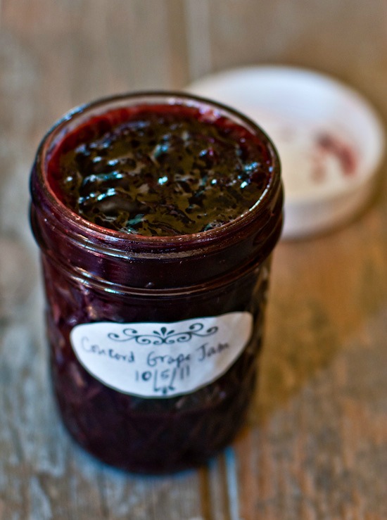 concord-grape-jam