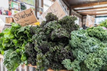 Several varieties of kale at a farmer's market.