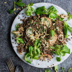 A delicious black lentil and apple salad, with a red wine vinaigrette and toasted pine nuts