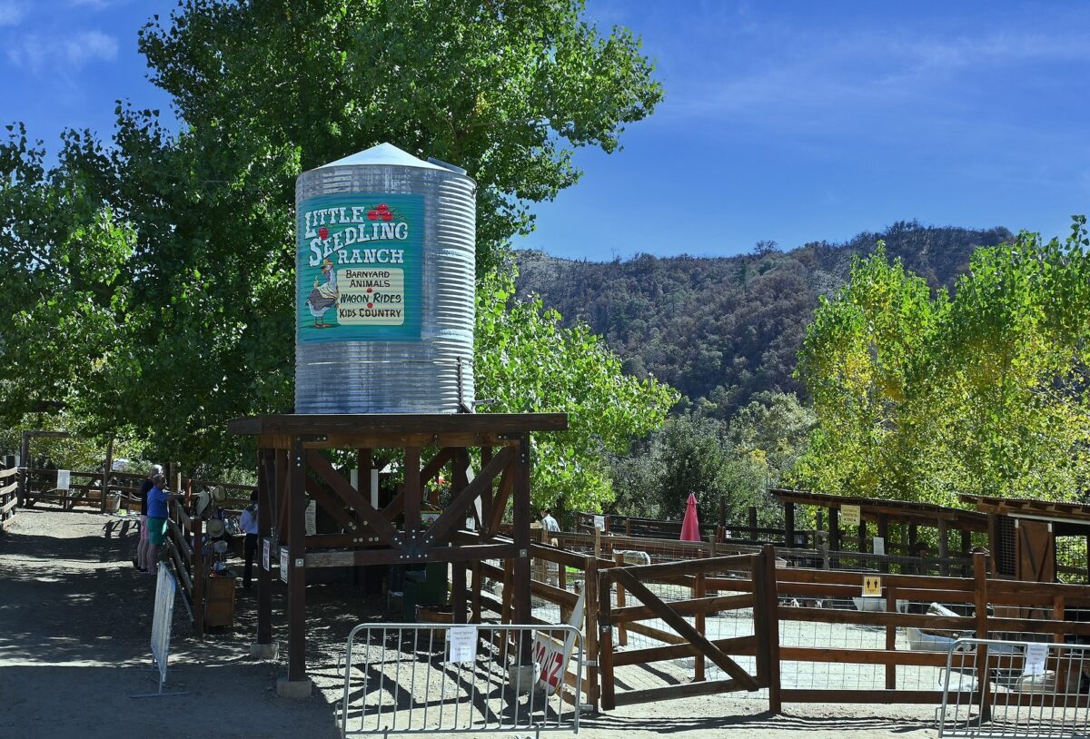 The sign for a ranch that says, Little Seedling Ranch. 