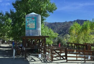 The sign for a ranch that says, Little Seedling Ranch.