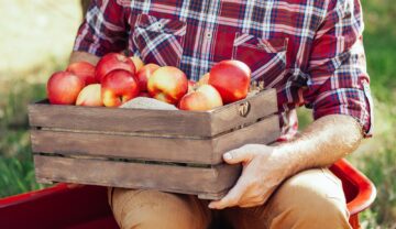 A man holding a wooden box of apples outside.