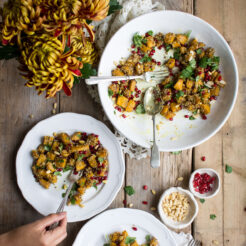 In this delicious vegan marinated pumpkin salad, all of the best sweet and savoury flavours come together to make the PERFECT fall salad!