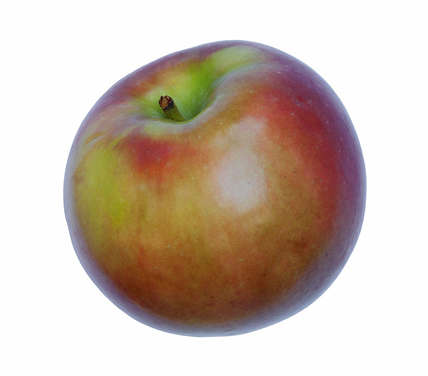 McIntosh apple.