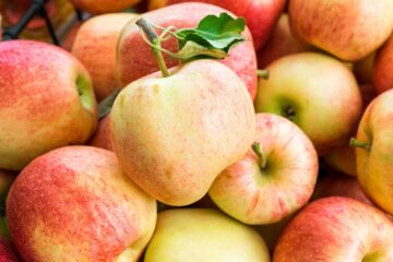 A pile of apples with one apple with a leaf attached to it.