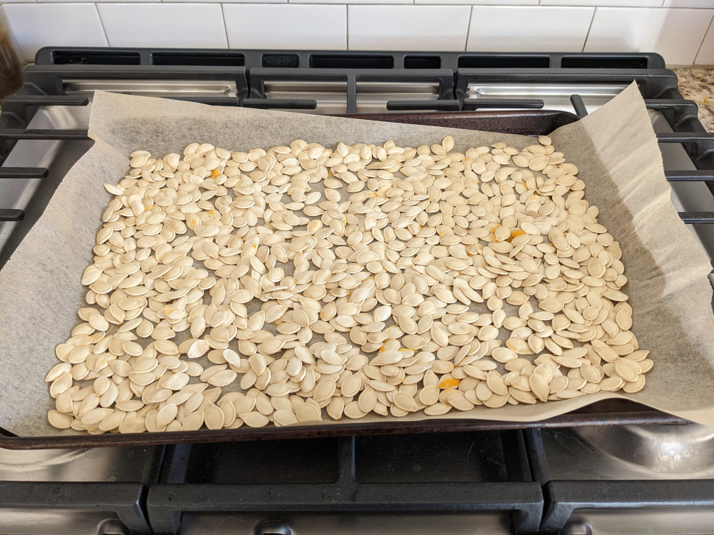 Pumpkin seeds spread on parchment paper.