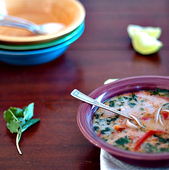 thai coconut chicken soup