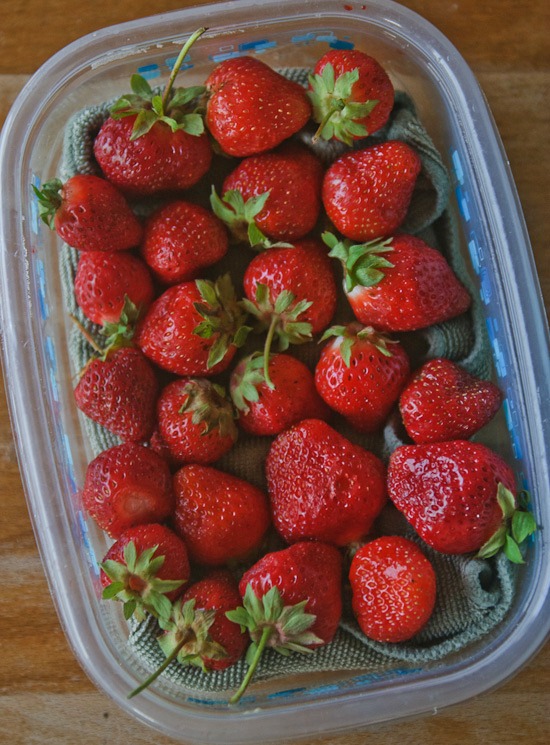 protecting strawberries | healthy green kitchen